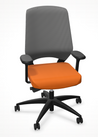 Office swivel chair Esencia DGLF with orange mesh back